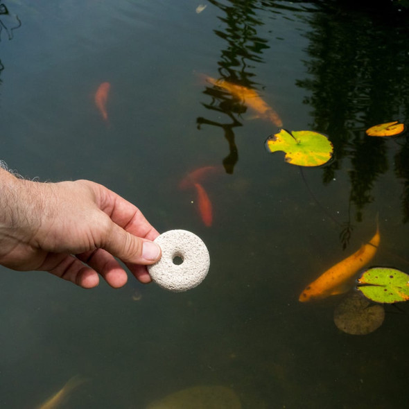 Summit Mosquito Dunks, Pack of 6 - Biological Larvae Control for Standing Water