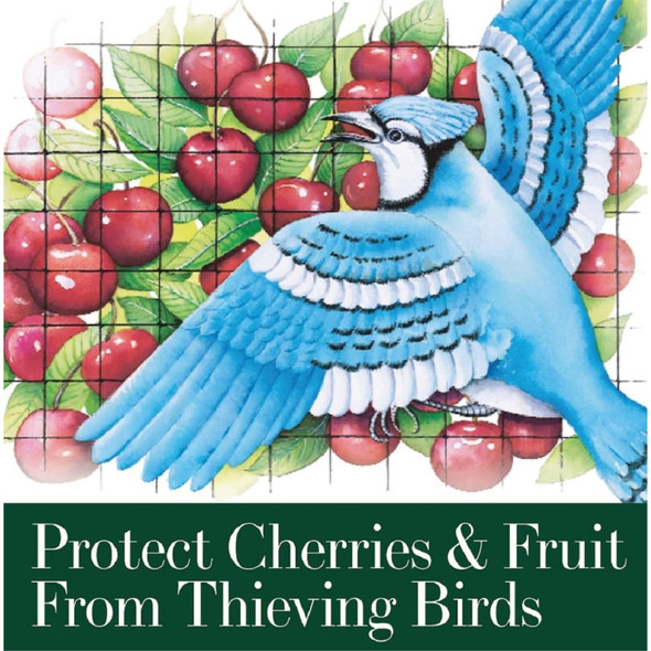 Dalen Bird-X Protective Mesh Netting, 14’ x 45’ - Fruit Trees and Berry Bushes