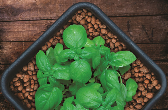 Hydrofarm GROW!T Pre-Washed, pH Stable Clay Pebbles, 4mm-16mm, 40L