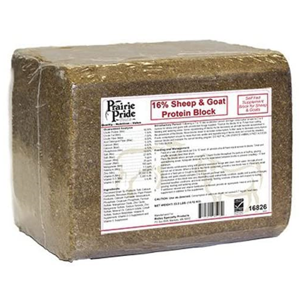 Ridley Sheep and Goat Outdoor Protein Block for Pasture Diets, 33lb