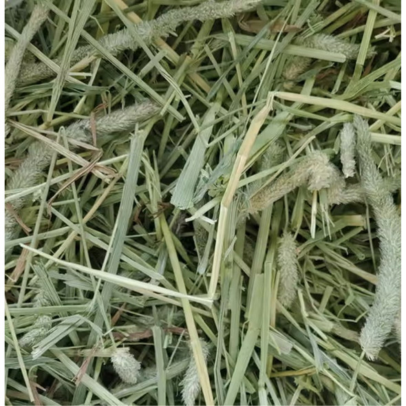 Standlee Hay Company Premium Timothy Grass Hand-Selected Forage, 25 lb Box