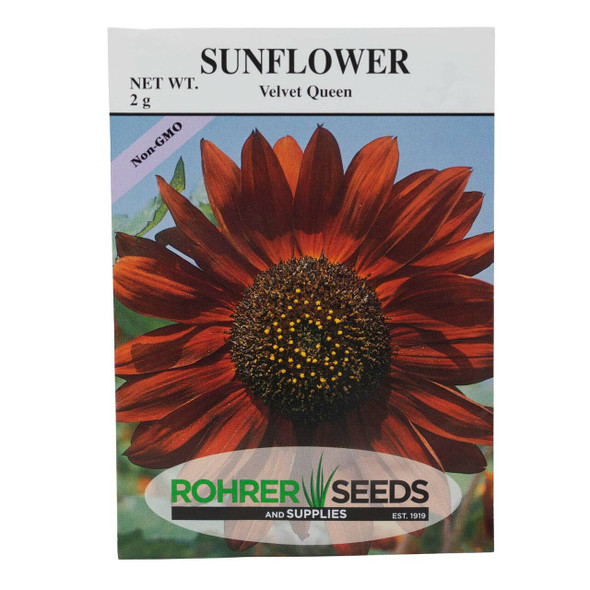 Rohrer's Seed Sunflower Non-GMO Velvet Queen Seeds, 2 Gram Packet