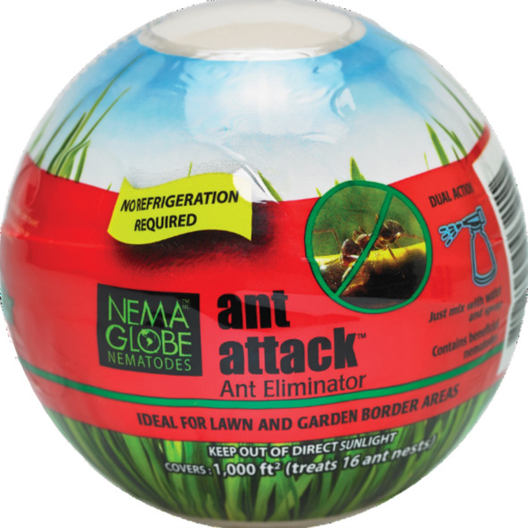 Nema Globe Nematodes Ant Attack, Ant Eliminator, Ideal for Lawn and Garden Borders, Covers 1,000 sq ft (Approx 10 Million Nematodes)