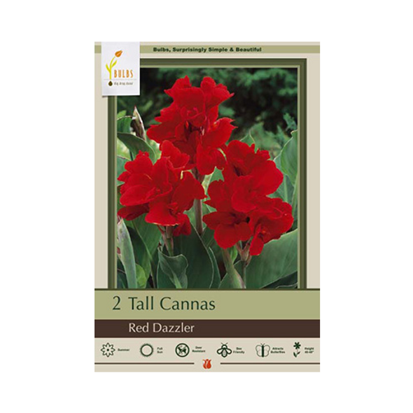 Netherland Bulb Company Canna Lily, Red Dazzler (2 Canna)