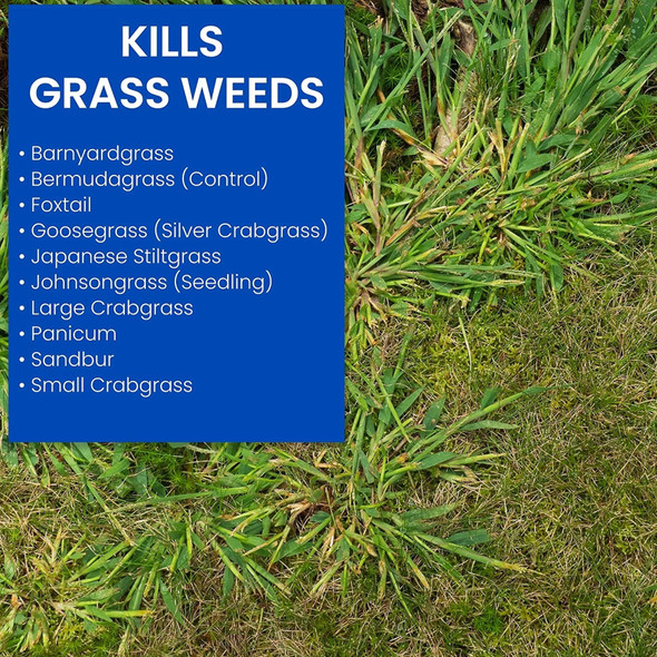 BIOADVANCED Extreme Crabgrass Herbicide Weed Killer, Hose End Spray Concentrate, 32oz