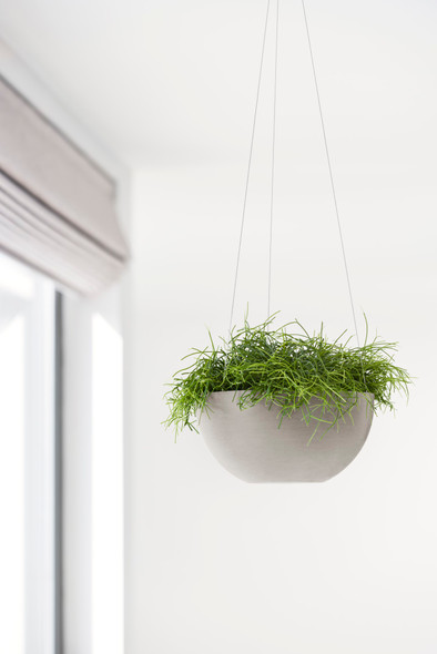 Ecopots Plastic Modern Indoor/Outdoor Round Hanging Brussels Flower Pot Planter