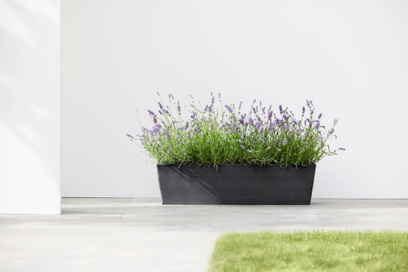 Ecopots Bruges Indoor/Outdoor Modern Plastic Rectangular Flower Pot Planter