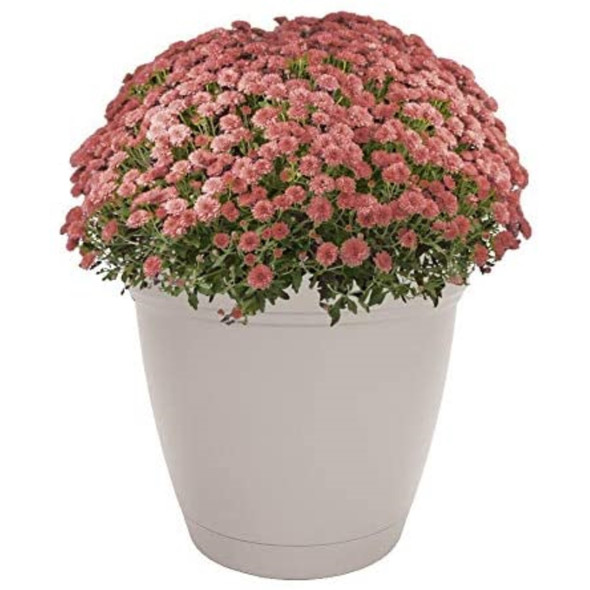 The HC Companies Eclipse Round Indoor/Outdoor Plastic Flower Pot Planter