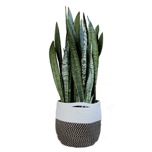 Bloem BloemBagz Round Fabric Planter Bag with Handles and Liner, Black/White