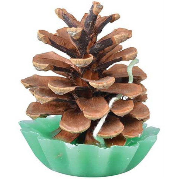 Esschert Design Pine Cone Fire Starters, Pack of 10