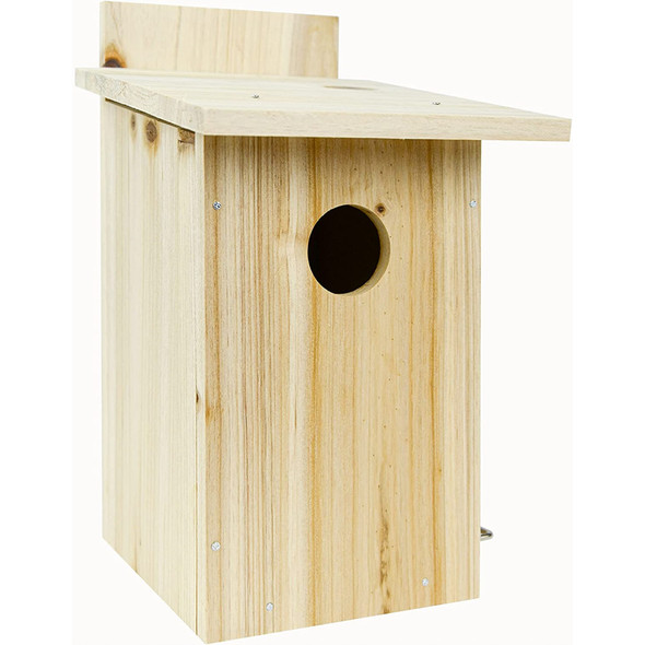 Nature's Way My First DIY Bird House To Paint, Assemble, and Decorate Wood Craft for Kids, 10"