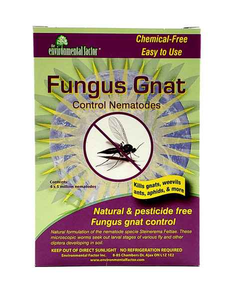 The Environmental Factor Fungus Gnat Control Nematodes, Natural and Pesticide-Free, 2 Applications, (Covers 5 Million Nematodes per Pack)