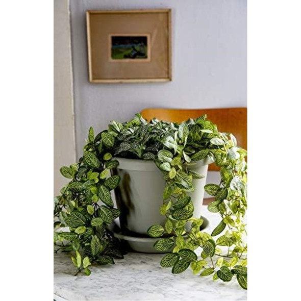 Esbenshades Lawn and - 1 - - Saucers - Garden Accessories Planters Page &