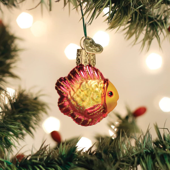 Old World Christmas Mini Glass Blown Ornament for Christmas Tree, Tropical Fish (With OWC Gift Box)