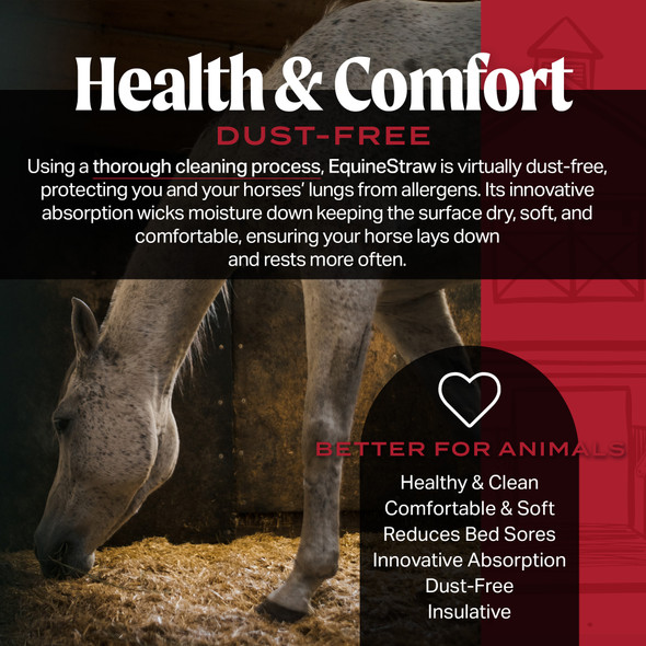 HealthiStraw EquineStraw – All-Natural, Clean Horse Straw Bedding – 3 cu ft (25 lb) Expands to 10+ cu ft HealthiStraw EquineStraw – All-Natural, Clean Horse Straw Bedding – 3 cu ft (25 lb) Expands to 10+ cu ft