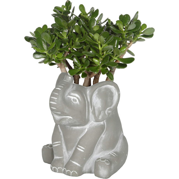 Classic Home and Garden Indoor or Outdoor Elephant Planter, Small, 6.5"