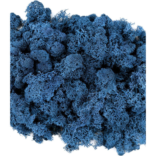 Super Moss Preserved Reindeer Moss, Royal Blue, 1oz