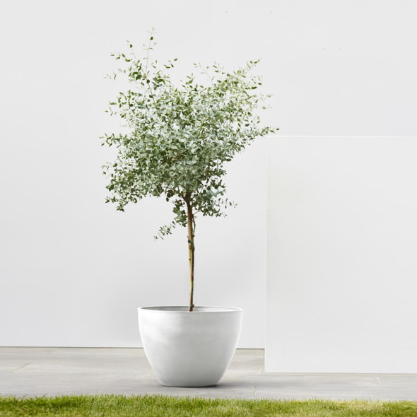Ecopots Antwerp Indoor/Outdoor Modern Recycled Plastic Flower Pot Planter, Pure White, 12"
