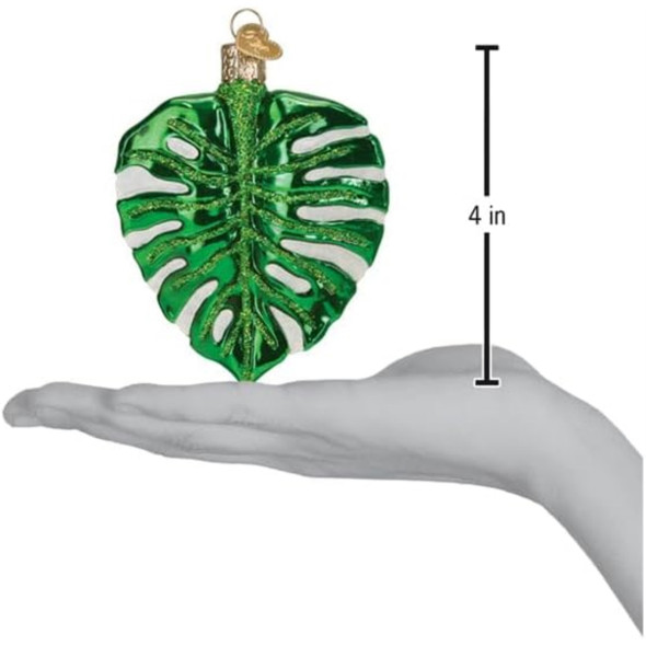 Old World Christmas Blown Glass Ornament for Christmas Tree, Monstera Leaf (with OWC Gift Box) Old World Christmas Blown Glass Ornament for Christmas Tree, Monstera Leaf (with OWC Gift Box)