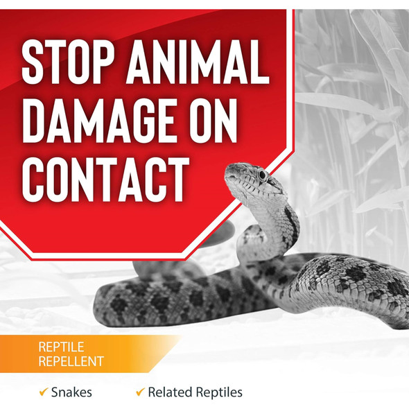 Messinas Ready to Use Reptile Stopper Repellent for Snakes, 2.5lb Shaker