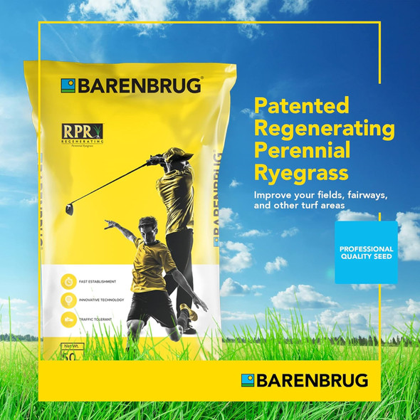 Barenbrug Turf Star RPR Perennial Ryegrass Seed with Yellow Jacket Coating, 25lb