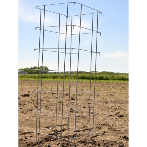 Garden Elements Square 8-Leg Heavy-Duty Collapsible Tomato Cages, 58in H (Pack of 3)