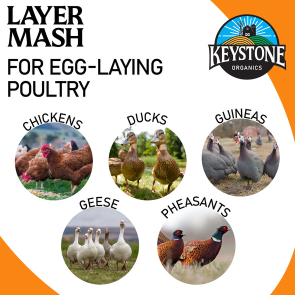 Keystone Organics USDA Certified Layer Mash Chicken Feed, 44lbs