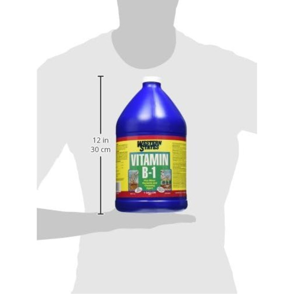 Liquinox Western States Vitamin B-1 Transplant Solution Concentrate, 1 Gallon