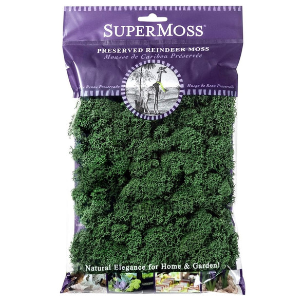 SuperMoss Preserved Reindeer Moss – Soft, Eco-Friendly Decorative Moss for Terrariums, Floral Arrangements, Forest Green, 2 oz SuperMoss Preserved Reindeer Moss – Soft, Eco-Friendly Decorative Moss for Terrariums, Floral Arrangements, Forest Green, 2 oz