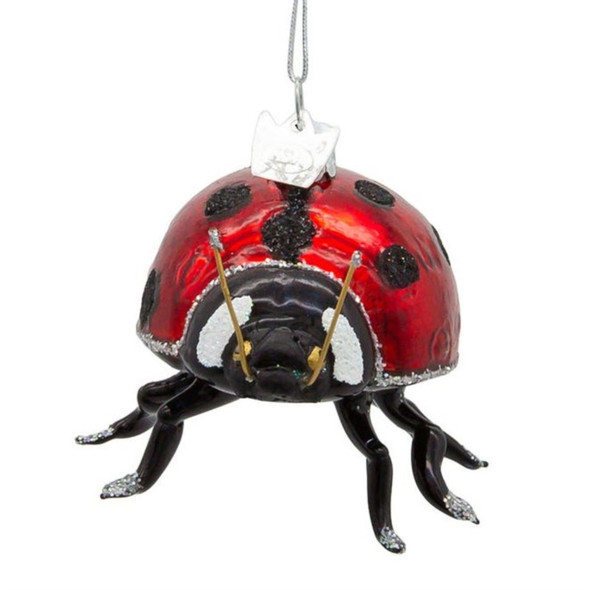 Kurt Adler Noble Gems Glass Ornament for Christmas Tree, Ladybug, 3"