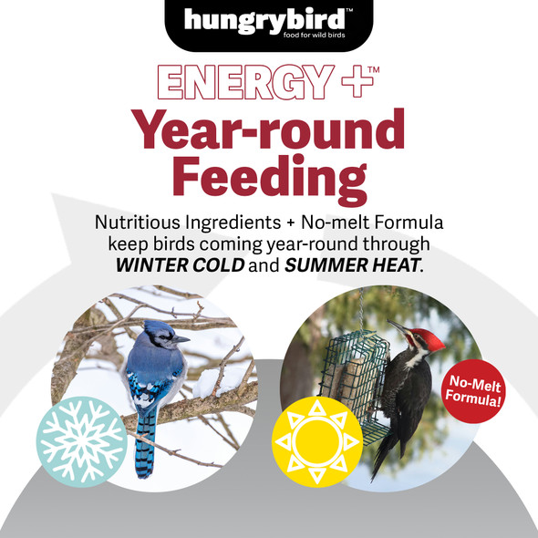 Hungrybird Energy+ No-Melt, High-Protein Suet Cake with Mealworm Filling for Outside Wild Bird Feeders