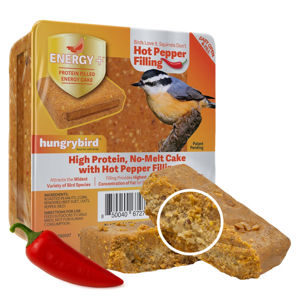 Hungrybird Energy+ No-Melt, High-Protein Suet Cake with Hot Pepper Filling for Outside Wild Bird Feeders
