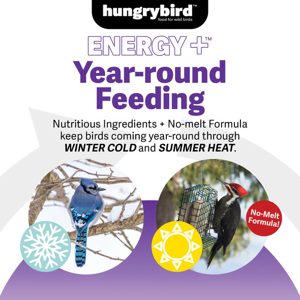Hungrybird Energy+ No-Melt, High-Protein Suet Cake with Berry Filling for Outside Wild Bird Feeders