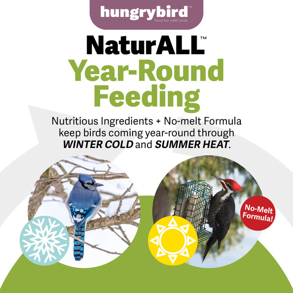 Hungrybird NaturAll Non-GMO, High-Protein Berry Suet Cake for Outside Wild Bird Feeders