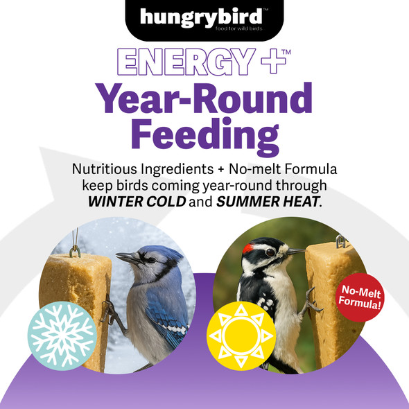 Hungrybird Energy+ High-Protein Suet Bar with Blended Berry Filling for Outside Wild Birds