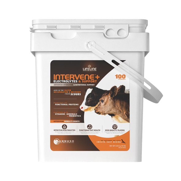 ANNUSO LIFELINE Intervene+ Electrolyte & Support Supplement for Calves