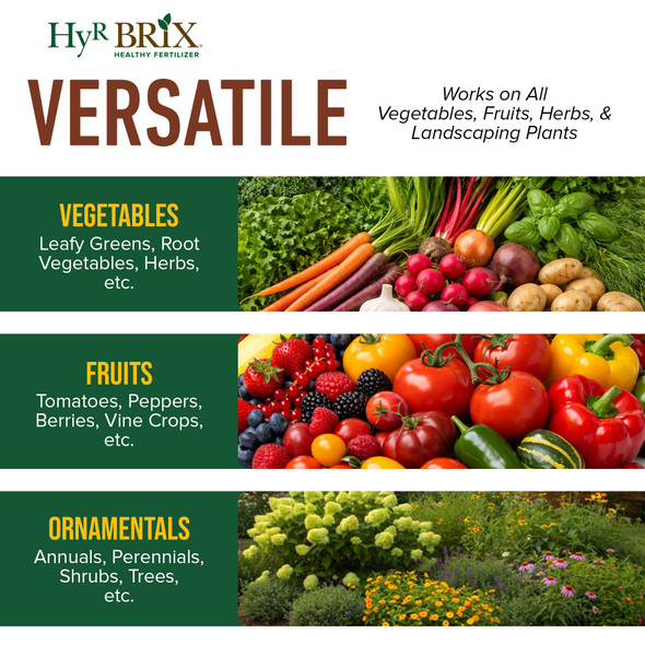 HyR BRIX All Natural & Organic 1-1-8 Vegetable Garden Fertilizer