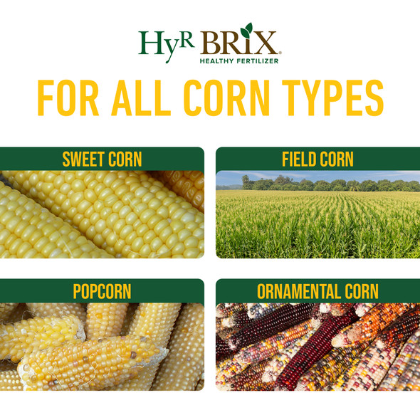 HyR BRIX Slow-Release 16-7-10 Sweet Corn Fertilizer