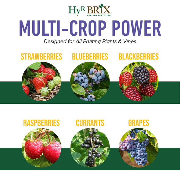 HyR BRIX Slow-Release 6-8-9 Fruit & Berry Fertilizer