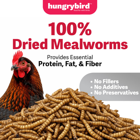 Hungrybird Dried Mealworms - High Protein Poultry Treats for Backyard Chickens