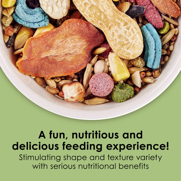 Kaytee Fiesta Mouse and Rat Food, 15lbs – Supports Immune Health and Digestion