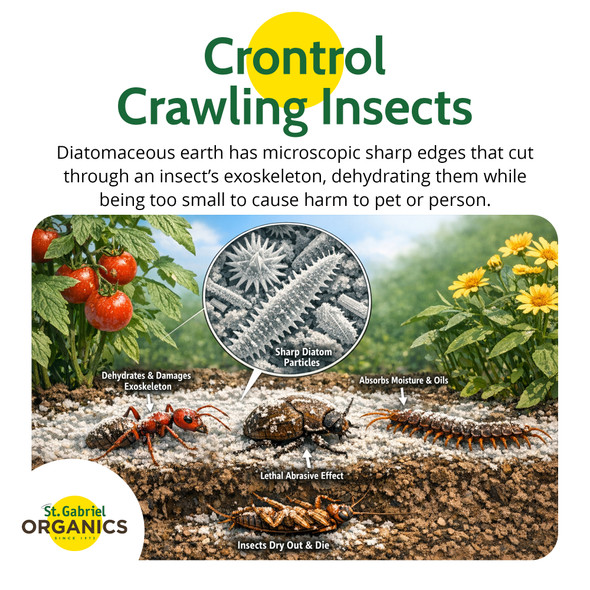 St. Gabriel Organics Insect Dust Diatomaceous Earth Insect Control