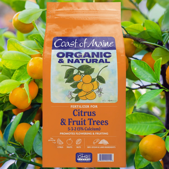 Coast of Maine Organic & Natural Fertilizer for Citrus & Fruit Trees