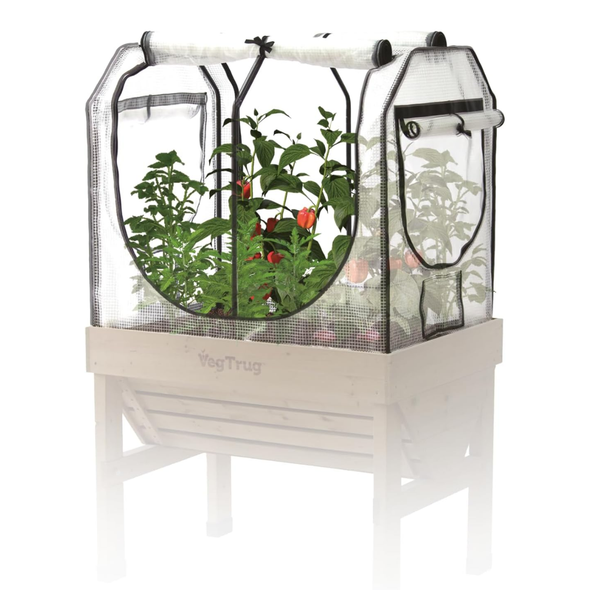 VegTrug Greenhouse Frame & Multi-Cover Set for Classic Small 1m Raised Bed, White