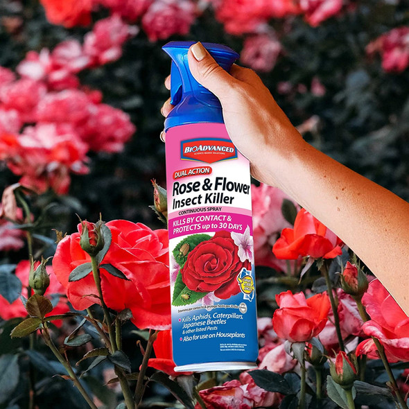 BioAdvanced Dual Action Rose and Flower Insect Killer, Continuous Spray, 15 oz
