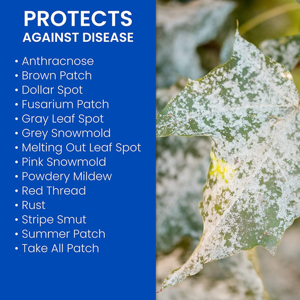 BioAdvanced Fungus Control for Lawns, 10 LB Bag, 5M coverage