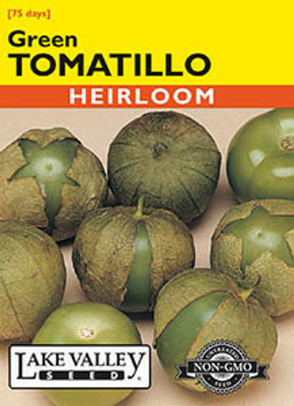 Tomatillo - Green