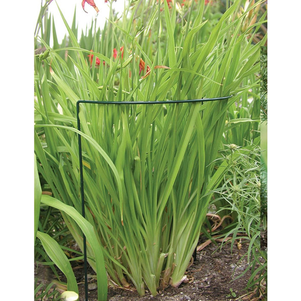 Luster Leaf Link-Ups U-Support Plant Support Stake, 6" x 17" (1 Piece)
