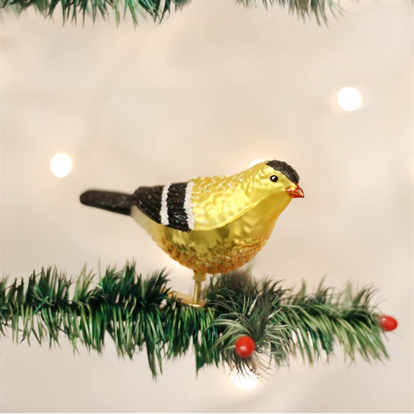 Old World Christmas Glass Blown Ornament, American Goldfinch (With OWC Gift Box)