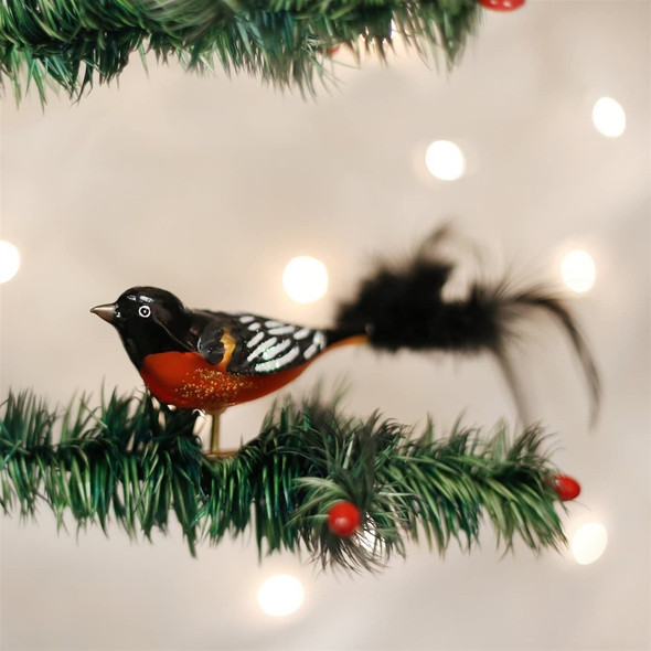 Old World Christmas Glass Blown Clip On Christmas Ornament for Tree, Baltimore Oriole